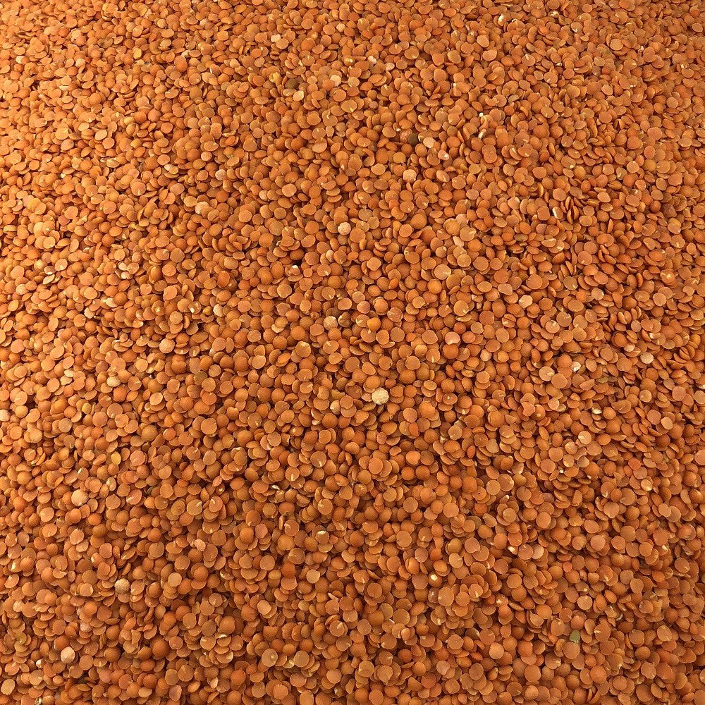 Lenteja Coral Bio Granel 5 Kg_2