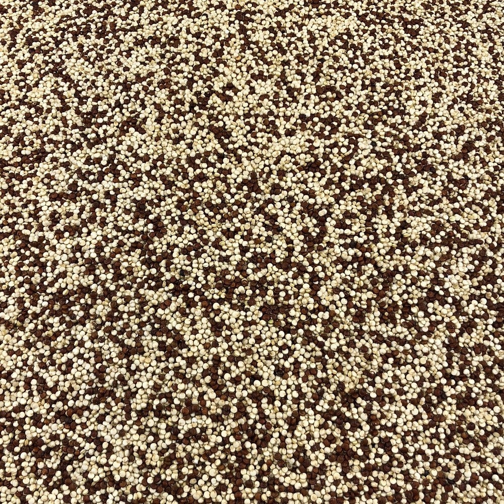 Quinoa Dúo Blanca Roja Orgánica Granel 1 Kg_2