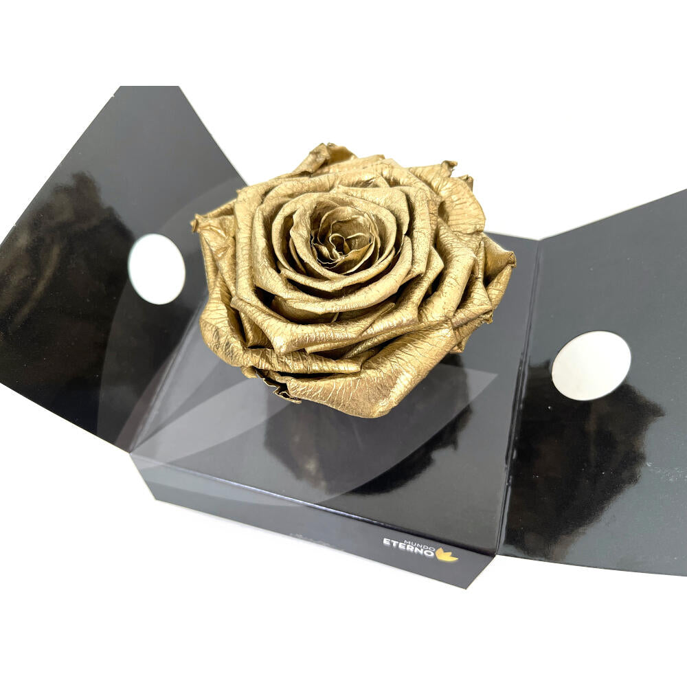 Rosmelia Dorada 12cm Preservada_0