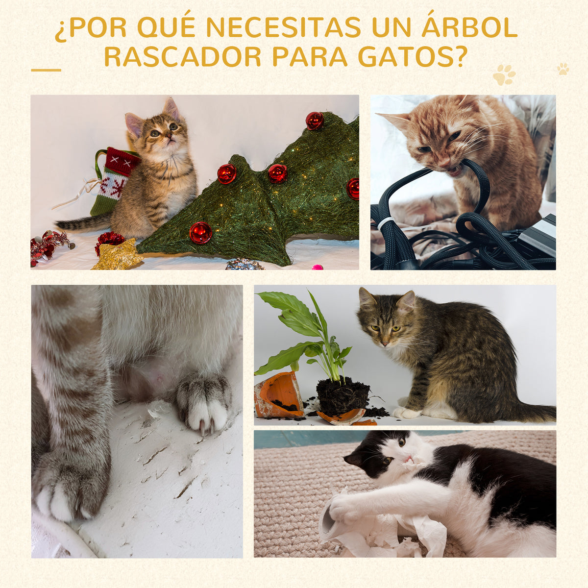 Pawhut Árbol Rascador Para Gatos 48,5x48,5x100cm Centro De Actividad Plataformas_5