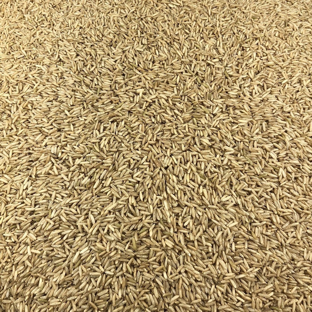 Arroz Basmati Integral Ecológico A Granel 5 Kg_2