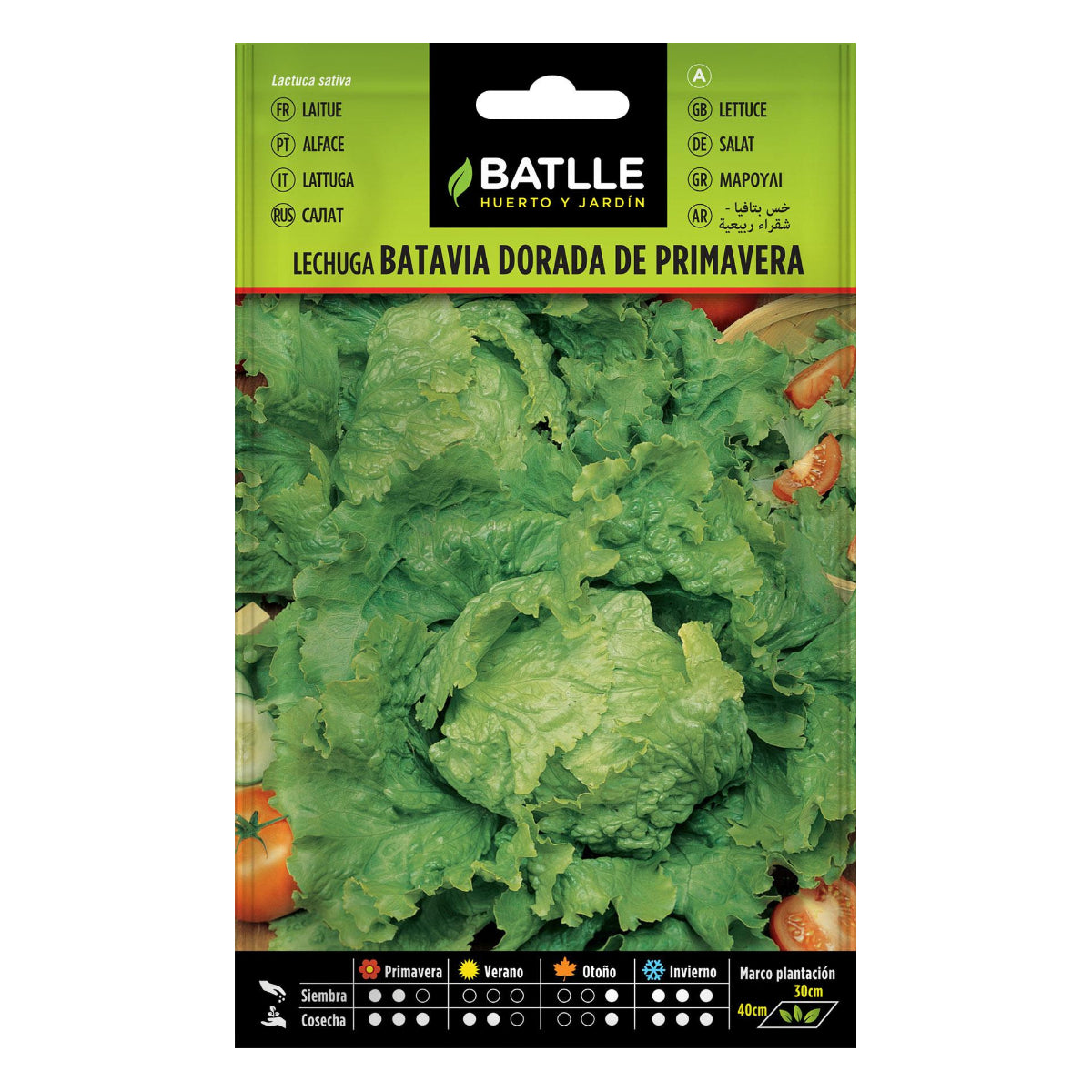 Semillas de Lechuga Dorada de Primavera Batlle