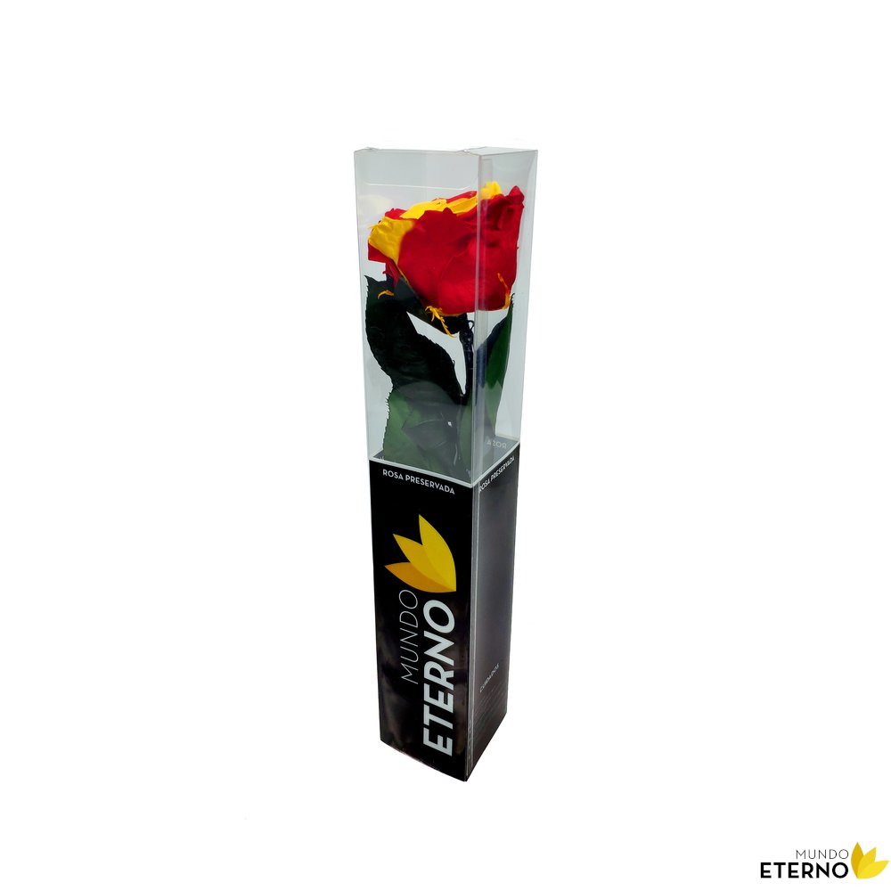 Mundo Eterno Rosa Preservada Bandera España 35cm_1