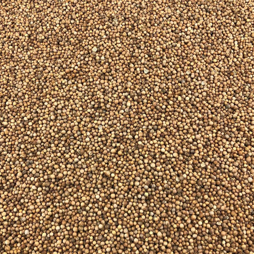 Semillas De Cilantro Bio Granel 5 Kg_0