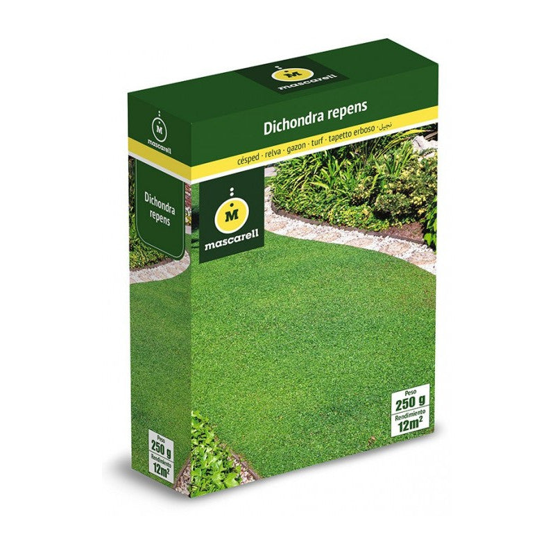 Semillas De Césped Dichondra Repens 100g 20g=m²_1