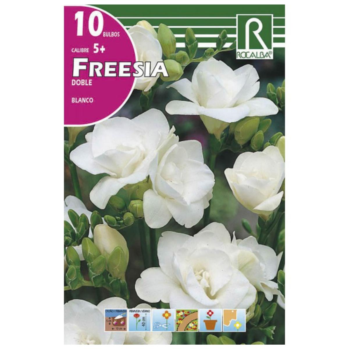 Bulbo Freesia doble blanco 10 uds Rocalba