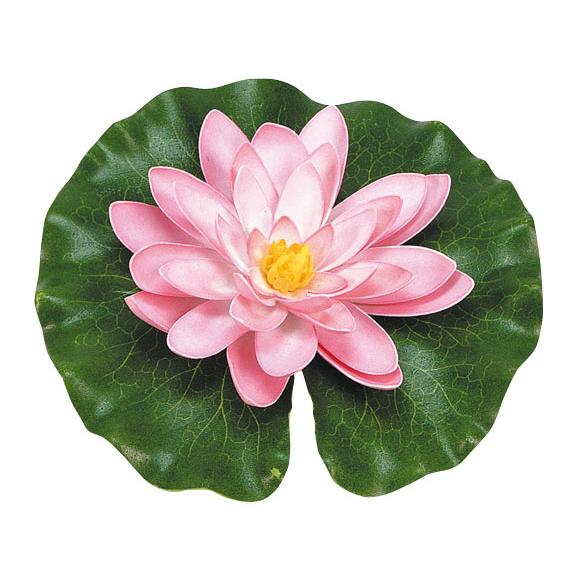 Nenufar rosa con gotas