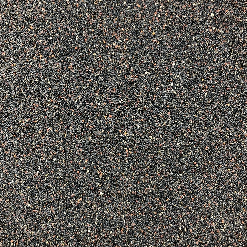 Quinoa Negra Orgánica A Granel 10 Kg_2