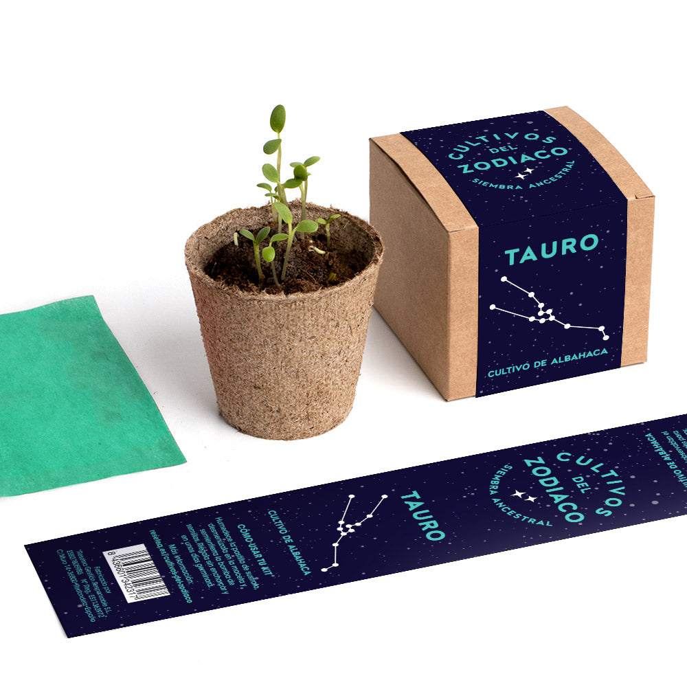 Cultivos del Zodiaco – Tauro, Kit de Cultivo con Semillas de Albahaca - Resetea_4