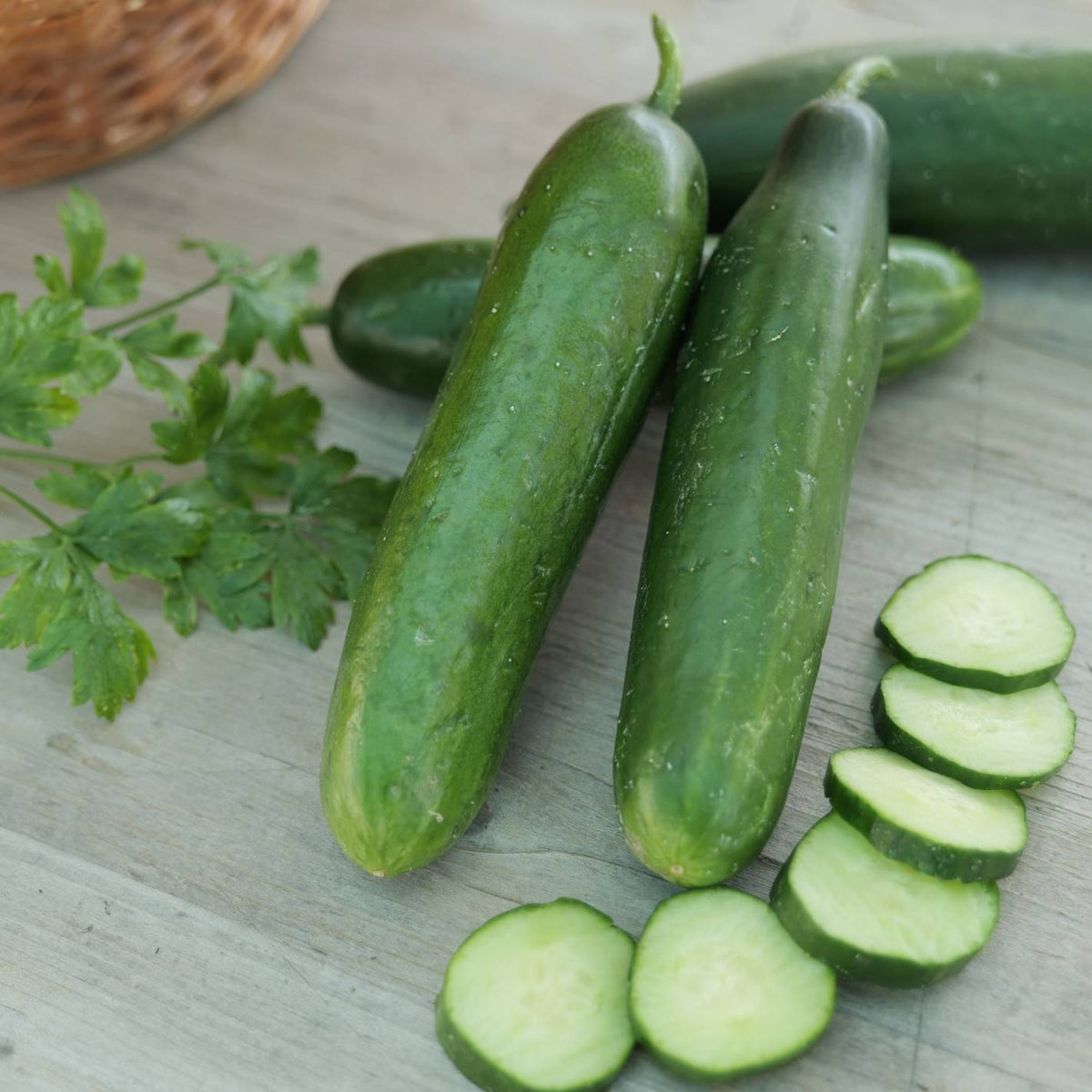 Semillas De Pepino La Diva Ecológicas_0