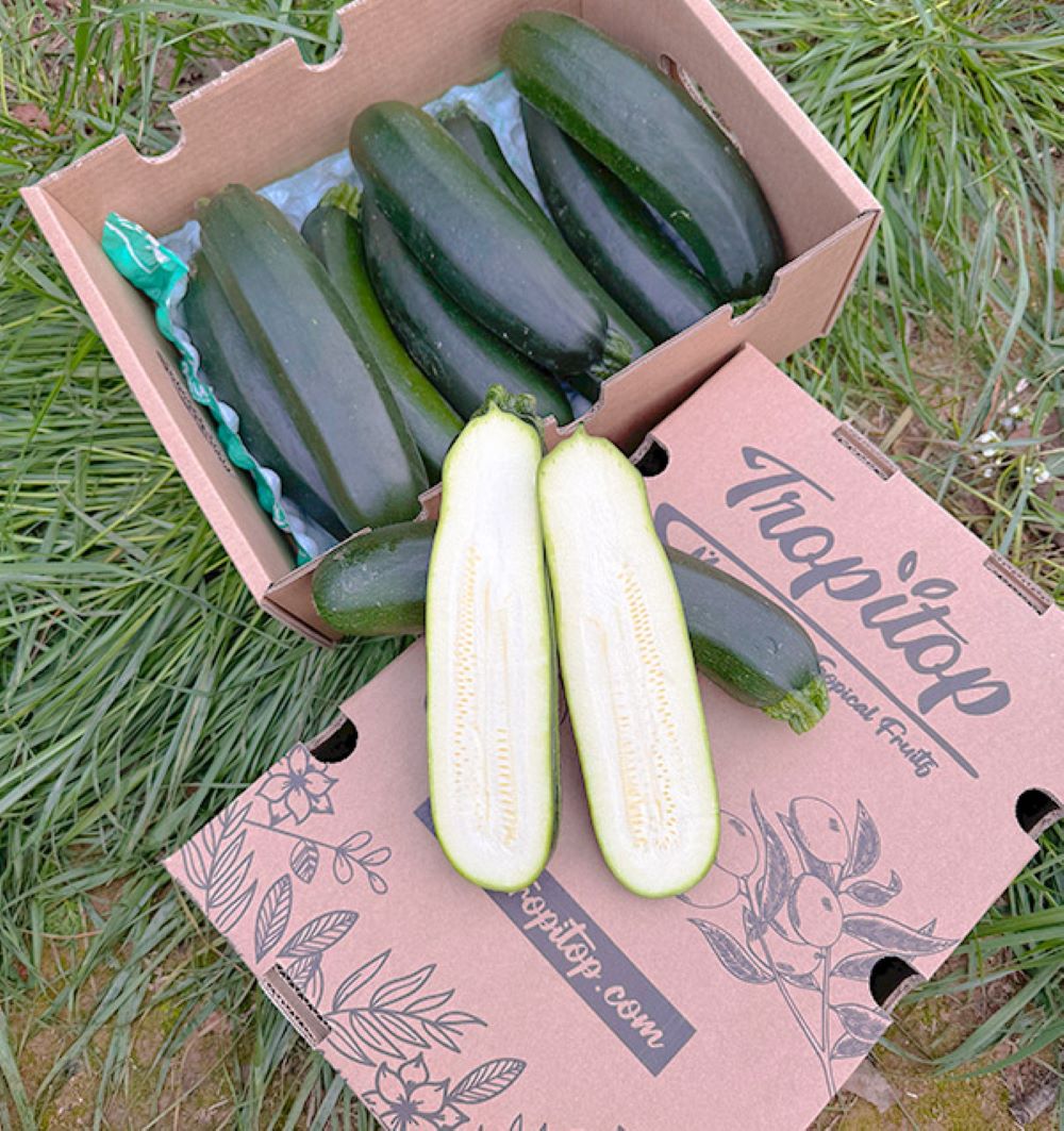 Caja De Calabacín Negro De Temporada Tropitop Caja De 3kg_4