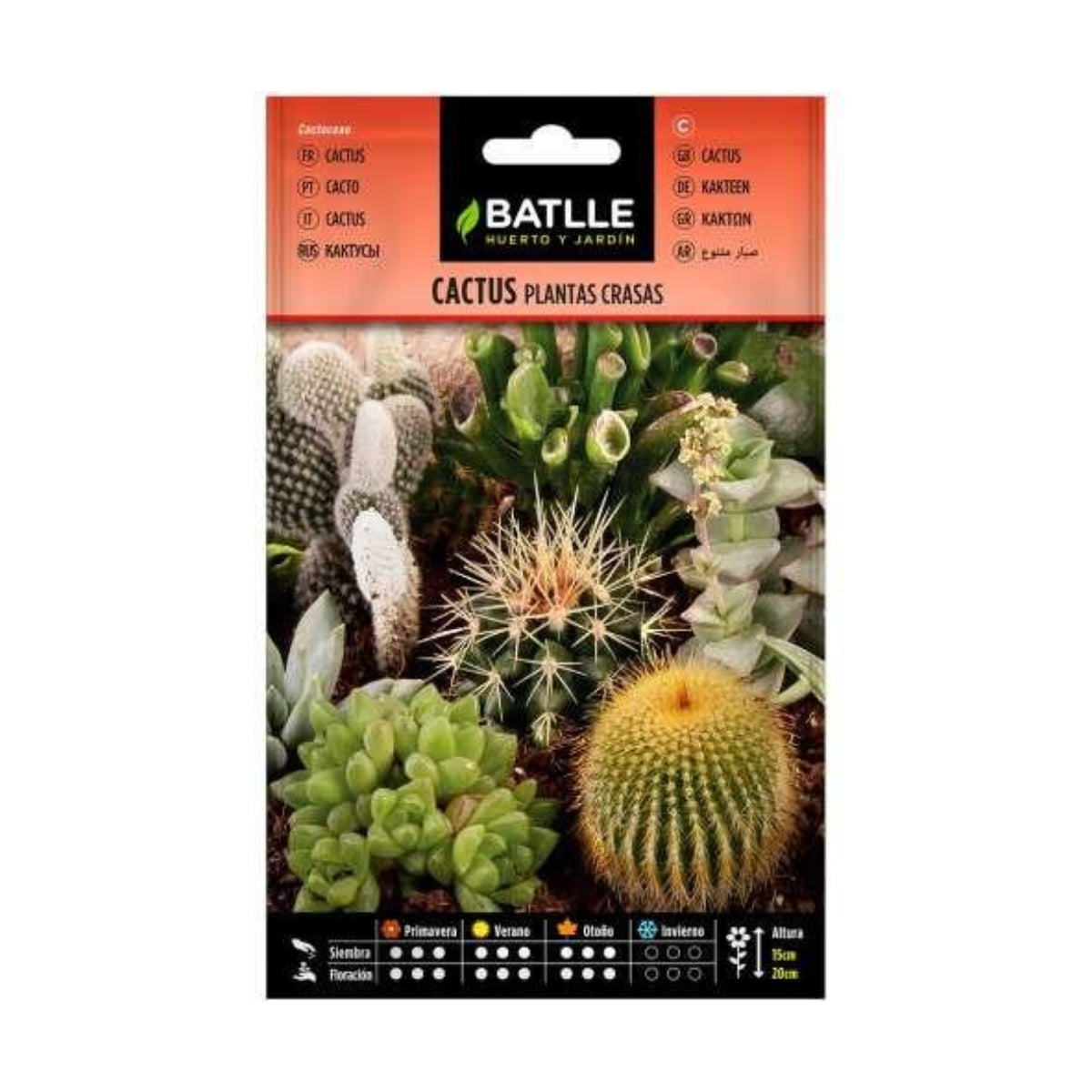 Semillas de Cactus plantas crasas Batlle