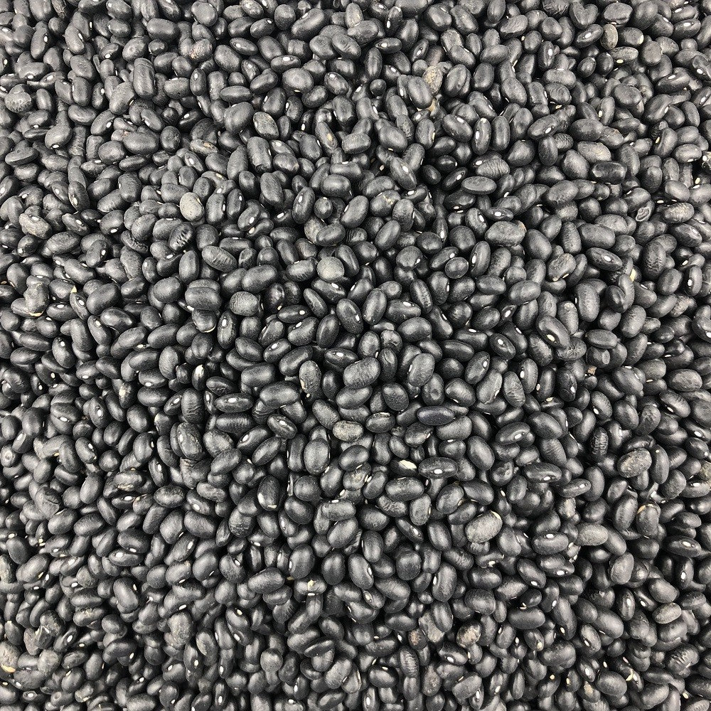 Frijol Negro Ecológico Granel 10 Kg_2