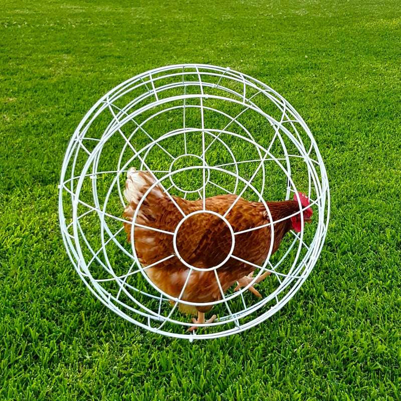 Esfera Para Gallinas Gaun - Ø 55 Cm_0
