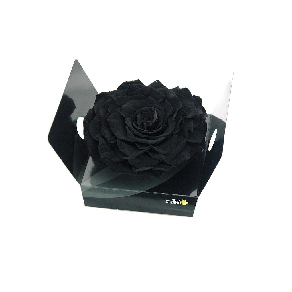 Mundo Eterno Rosmelia Preservada Negra 12cm_0