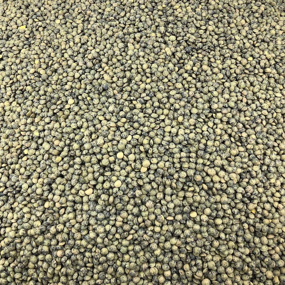 Lenteja Verde Ecológica Granel 0,5 Kg_2