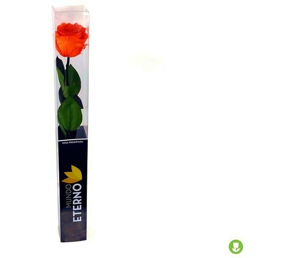 Mundo Eterno Rosa Preservada Naranja 25cm_1