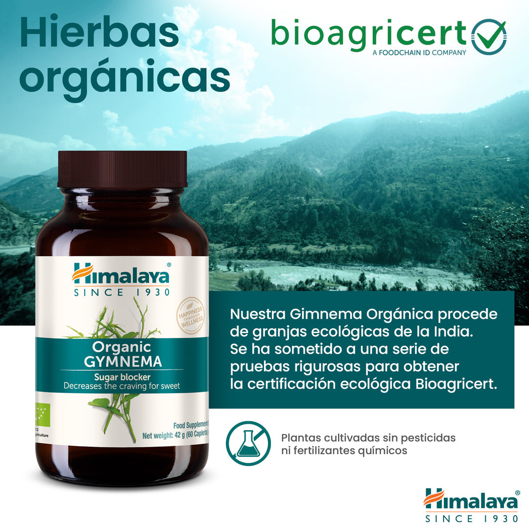 Gymnema Organic Himalaya 60 cápsulas