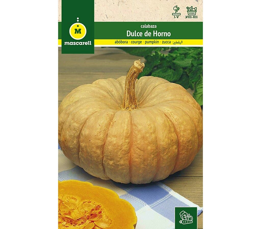 Semillas Calabaza Dulce De Horno Totanera_0