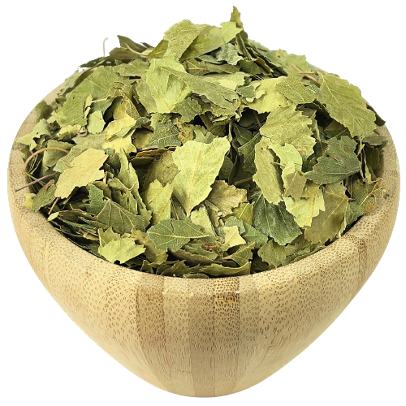 Hojas De Abedul Bio Granel 10 Kg_0