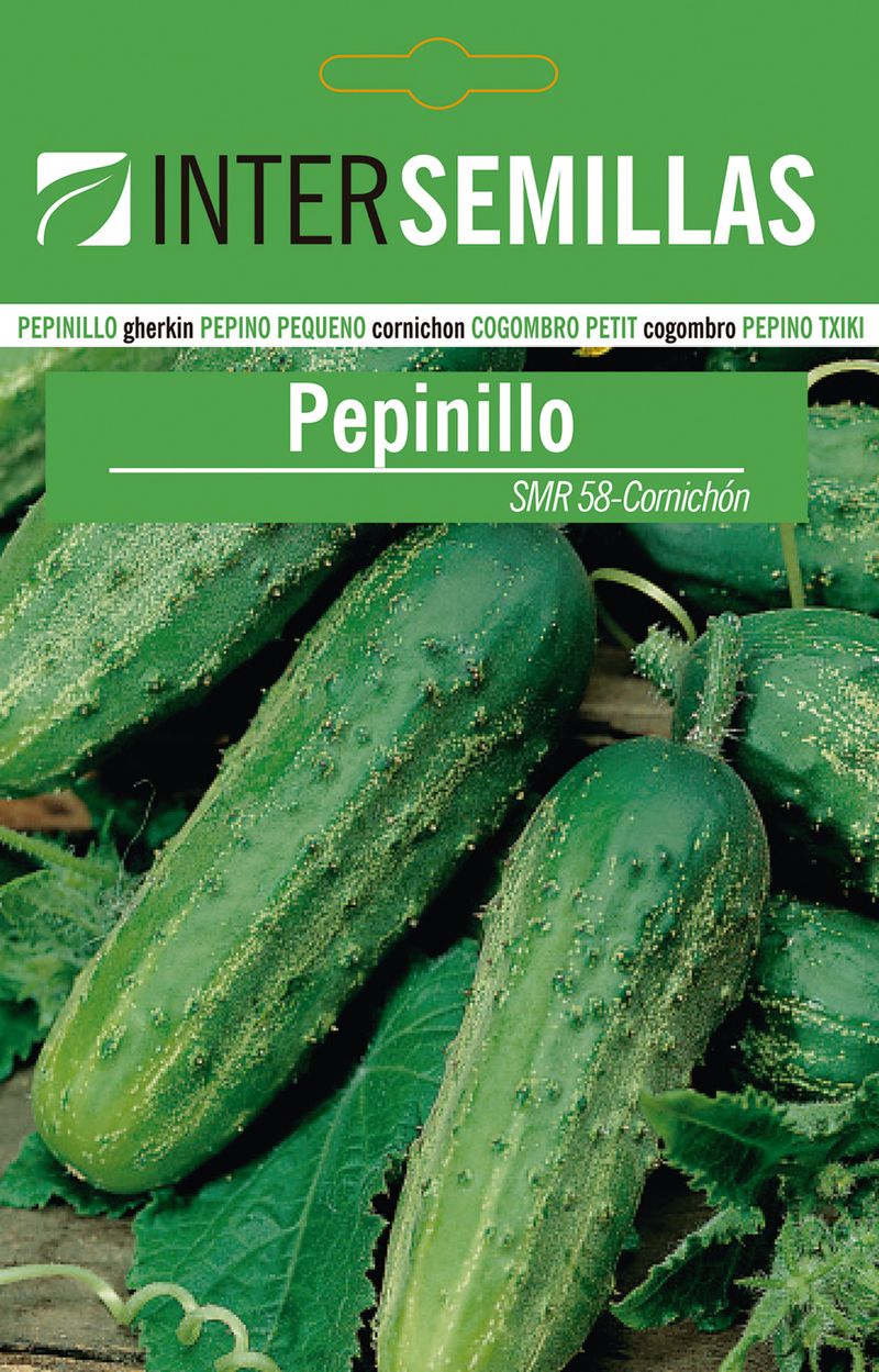 Sobre De Semillas Pepino Smr-58 Cornichón_0