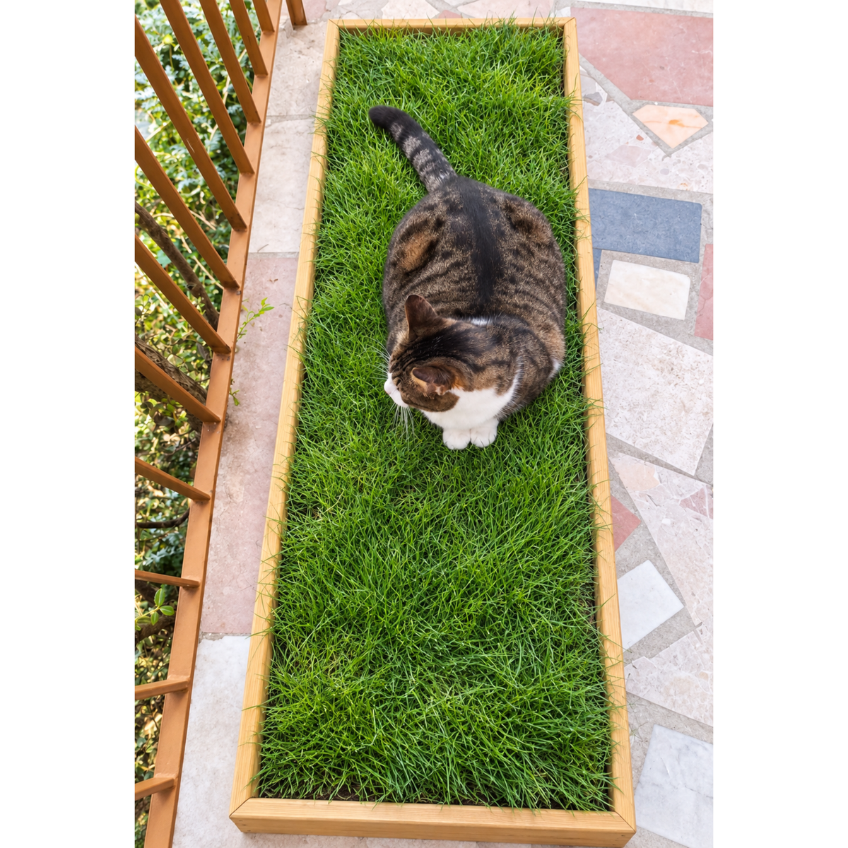 Petground, Cama de Césped Natural Para Gatos, Caja De Madera, Accesorio, Mueble Xl: 122 X 42 Cm_3