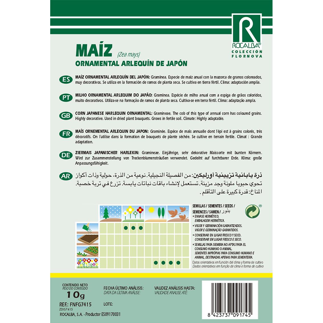 Semillas de Maíz ornamental arlequín del Japón