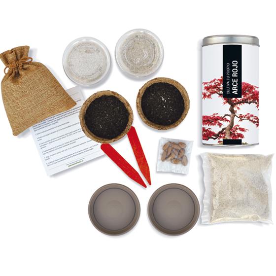 Kit de Regalo para Cultivar tu Arce Rojo en Casa, Garden Pocket