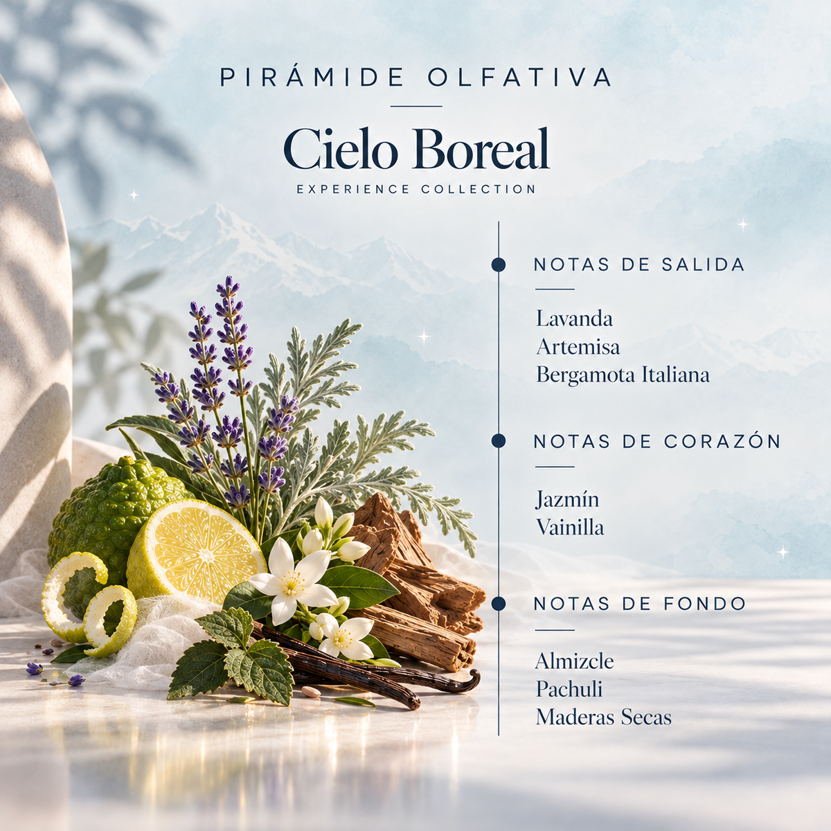 Recambio Mikado Cielo Boreal Experience SYS Aromas 200 ml | Con Palos | Aroma Amaderado y Dulce_1