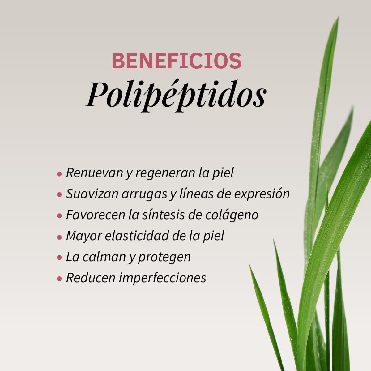 Sérum Facial Tensor Effect Labnatur 30 ml | Efecto Lifting | Firmeza, Elasticidad y Luminosidad | Vegano_4