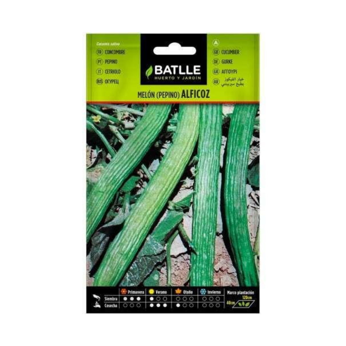 Semillas de Pepino Alficoz Batlle