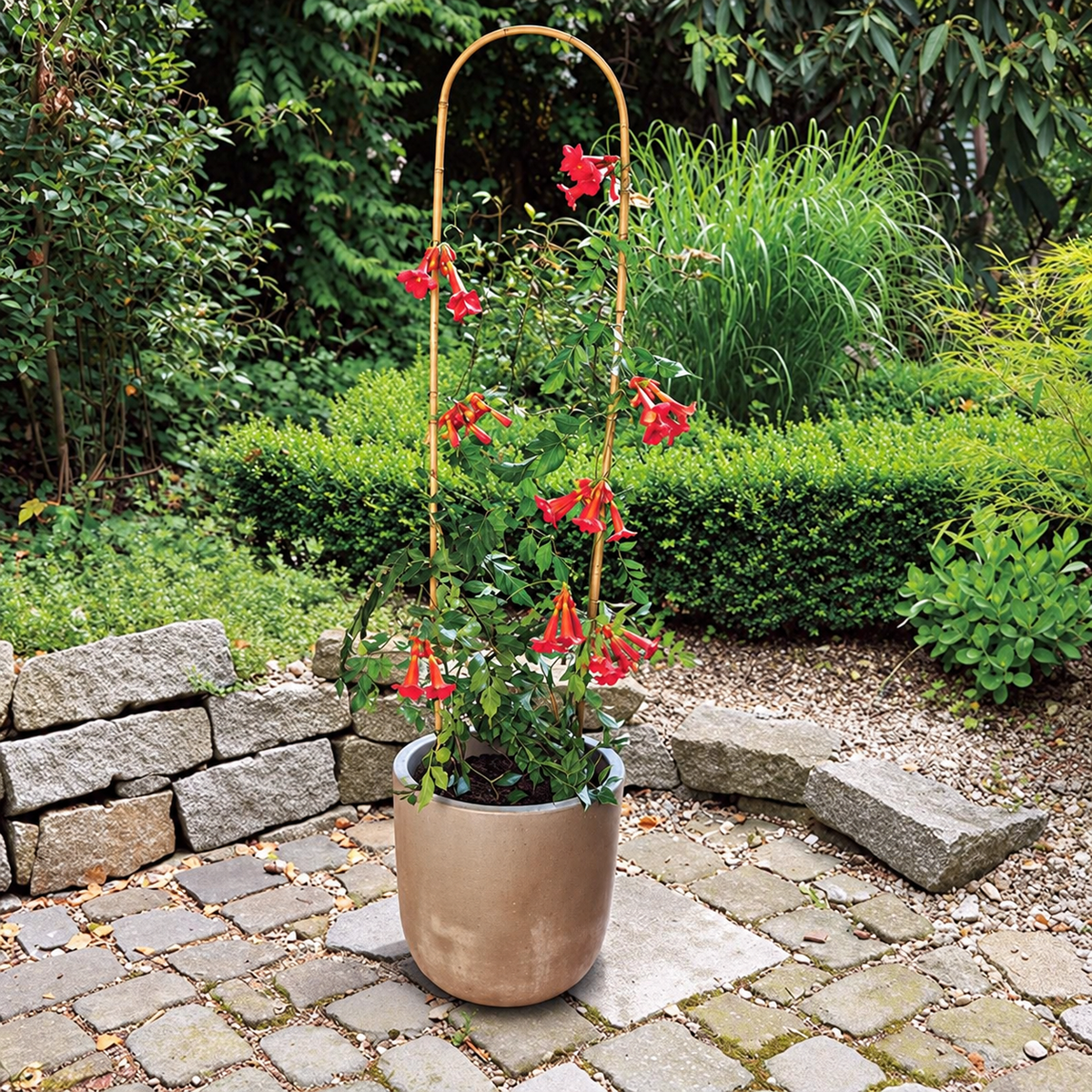 Tutor Arco Bambú 120 Cm Nortene_1
