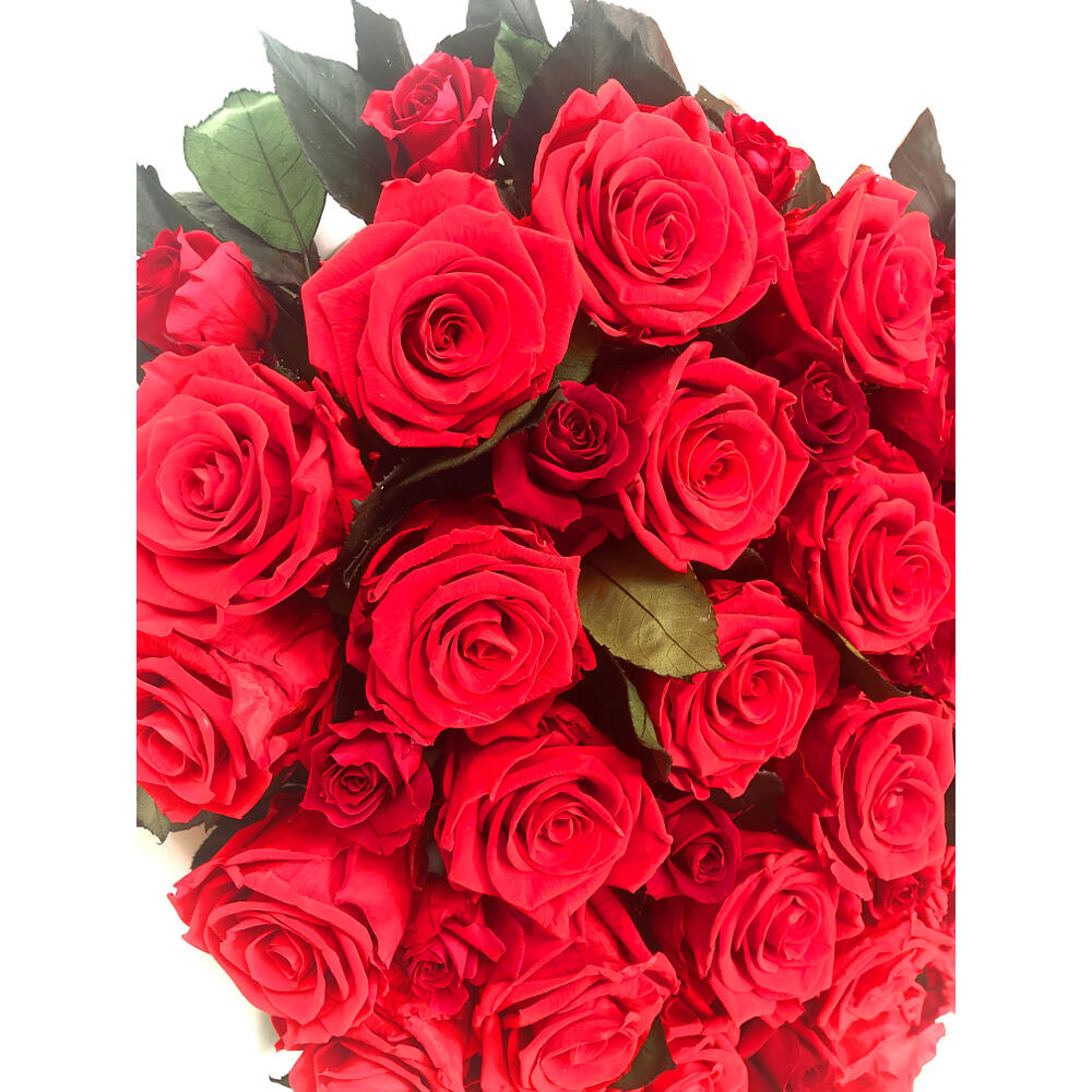 Corazón Preservado 63 Rosas_4