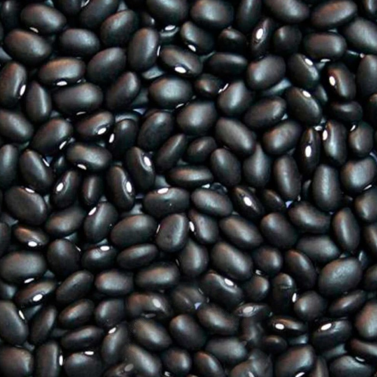 Frijoles En Grano Ecológicos 500gr_2