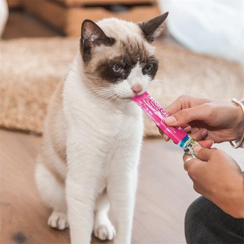 Creamy Cat Treats Snack cremoso de Salmón Arquivet 5x14 g