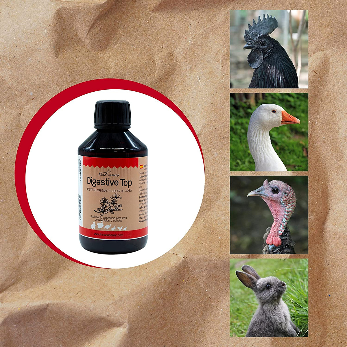Suplemento Alimenticio Para Una Buena Salud Digestiva En Animales | Digestive Top 250 Ml Para Conejos Y Aves De Corral_3