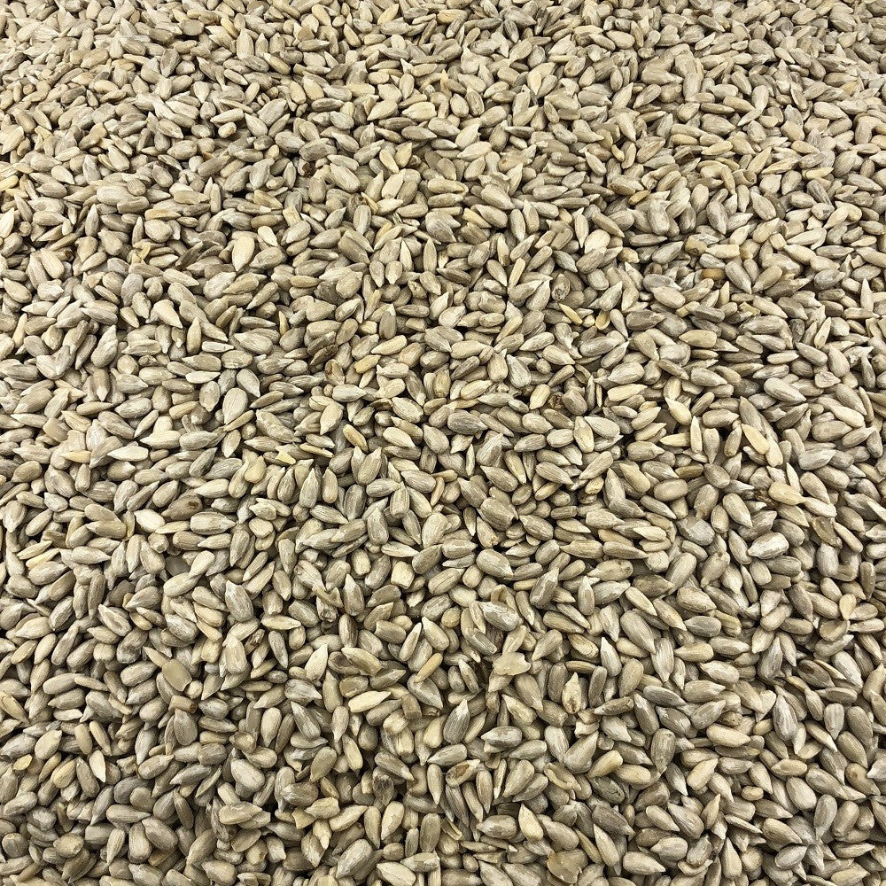 Semillas De Girasol Bio A Granel 10 Kg_2