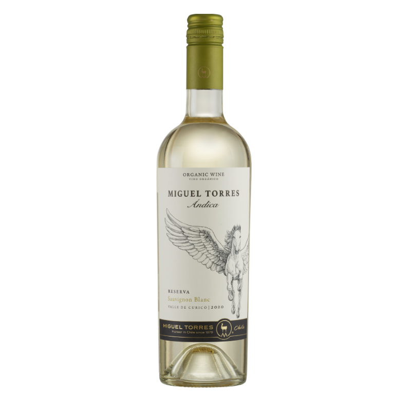 Vino Ándica sauvignon blanc Miguel Torres Chile 75 cl_0