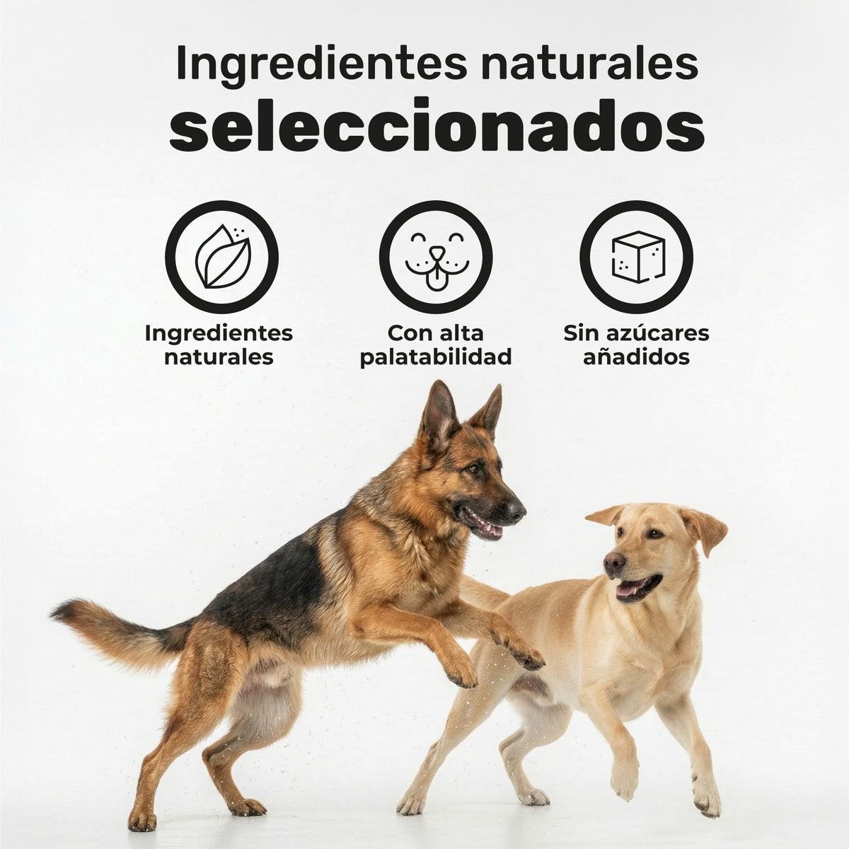 Pack Condroprotector + Aceite De Salmón Para Perros. Suplementos Mascotas. 240 Masticables. Natuva Pets_5