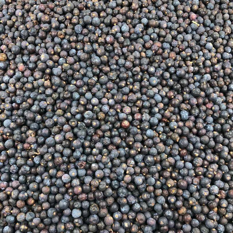 Bayas De Enebro Bio A Granel 10 Kg_0