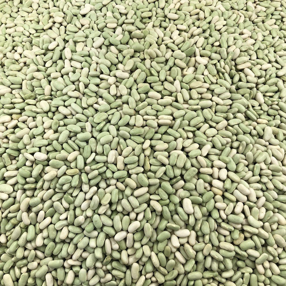 Flageolet Orgánico Granel 25 Kg_2