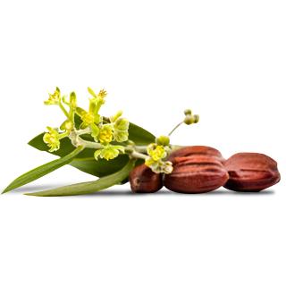 Máscara volumen -Brown Lavera 9 ml