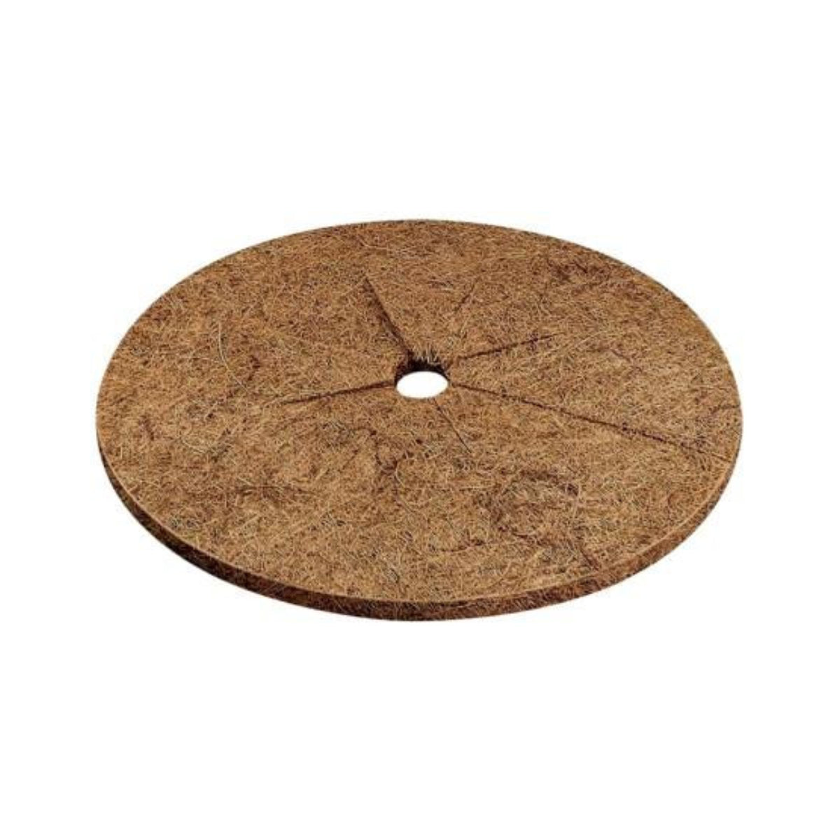 Discos de fibra de coco Biotop Ø25 cm 3 ud