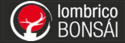 Lombrico Bonsái