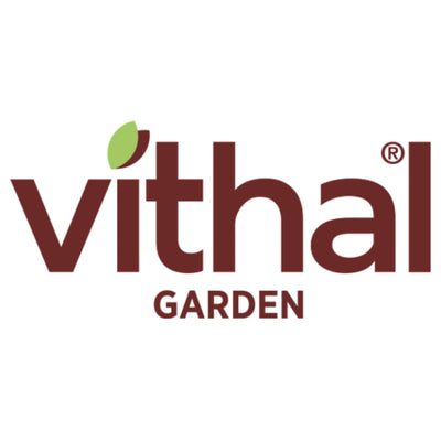 Vithal Garden