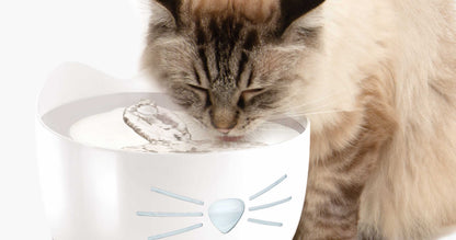 Fuente Bebedero para Gatos de Acero Inoxidable Blanca Catit PIXI 2,5 L
