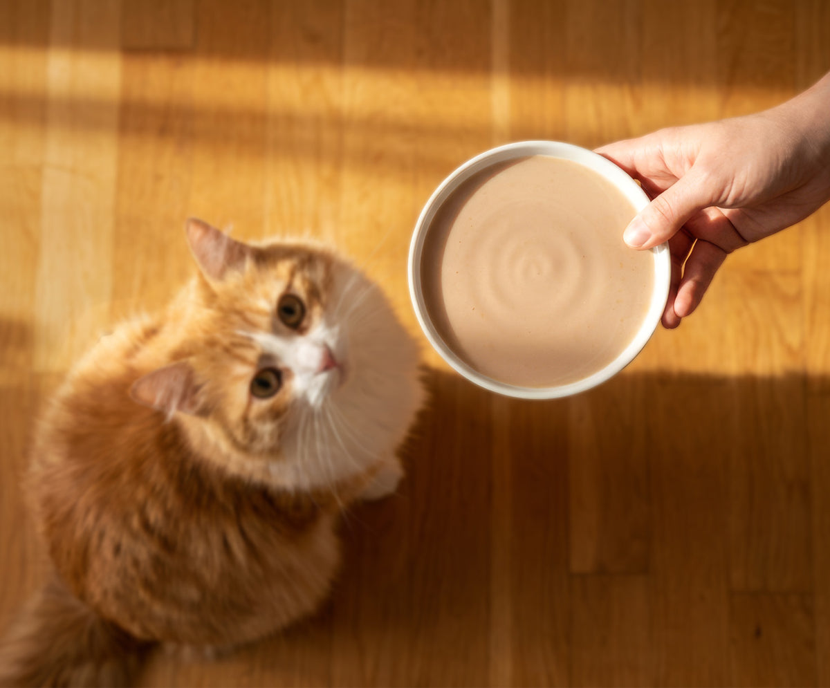 Sopa Cremosa para Gatos Creamy Bisque Pollo y Pato Catit 4 x 40 g