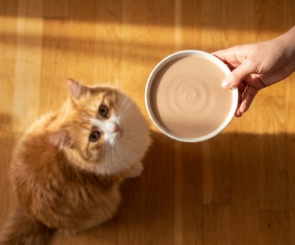 Sopa Cremosa para Gatos Creamy Bisque Pack Variado Catit 12 x 40 g