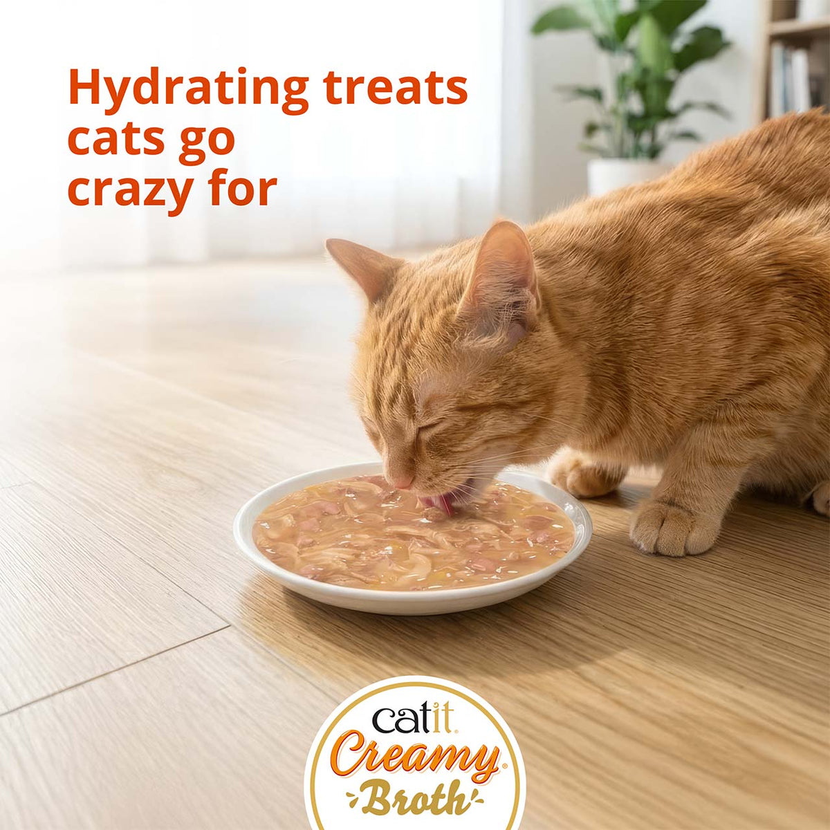 Caldo Cremoso para Gatos Creamy Broth Pollo y Pato Catit 4 x 40 g