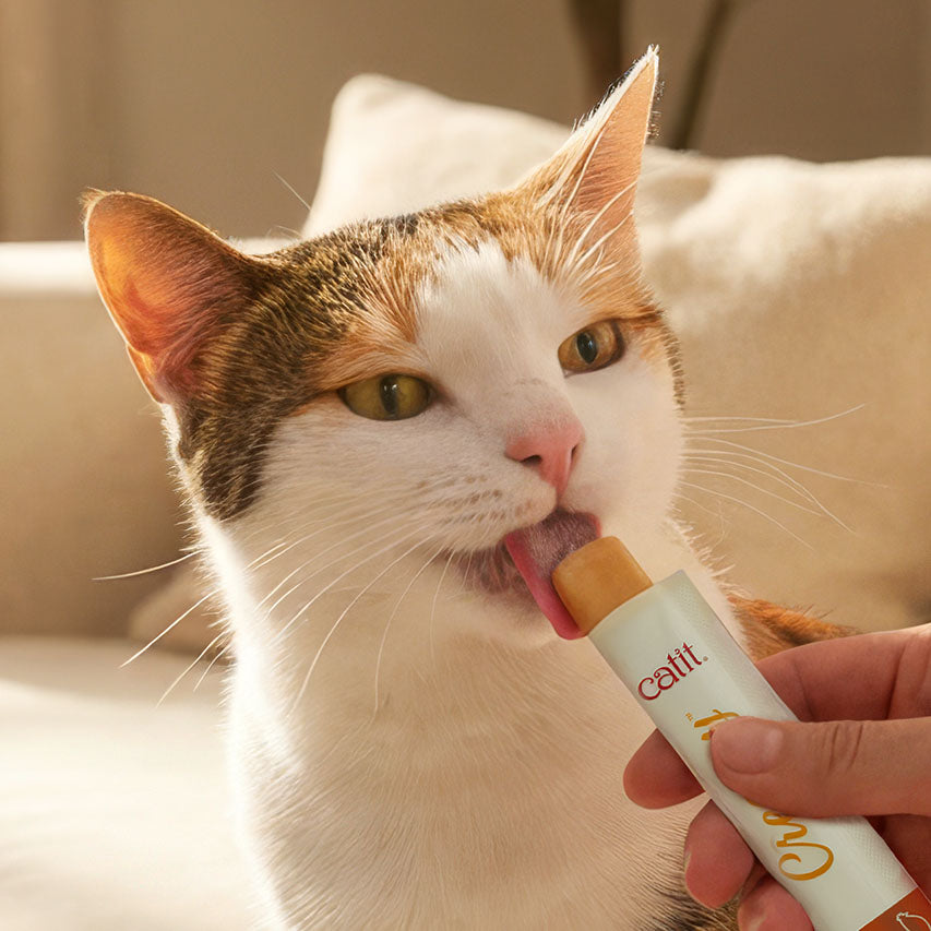Snack Líquido para Gatos Senior Creamy Booster Atún Catit 4 x 10 g